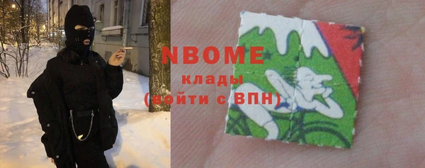 шишки Каменногорск