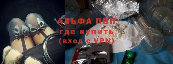 шишки Каменногорск