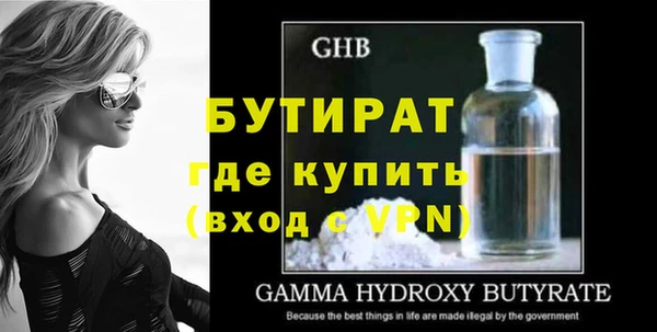 шишки Каменногорск