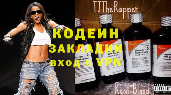 шишки Каменногорск