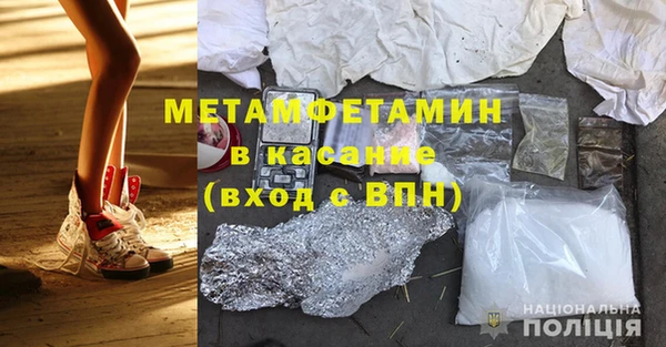 шишки Каменногорск