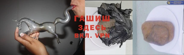 шишки Каменногорск