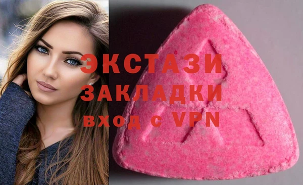 шишки Каменногорск