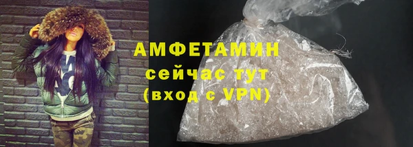 шишки Каменногорск